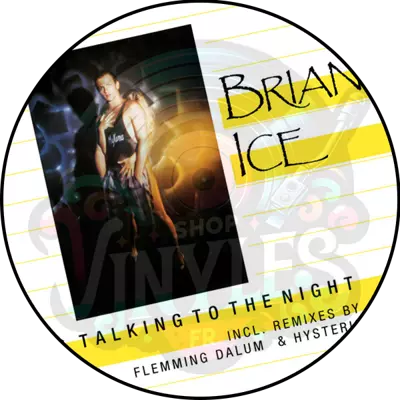 BRIAN ICE - Talking To The Night LP