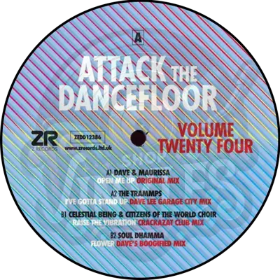 Various - Attack The Dancefloor Volume Twenty Four