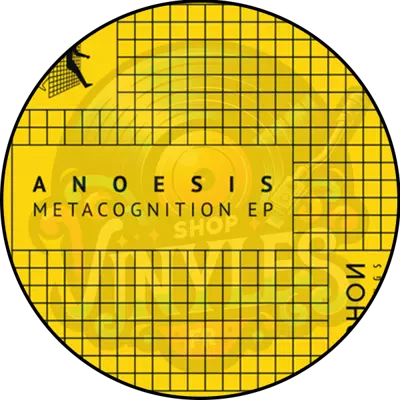 Anoesis - Metacognition EP