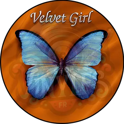 VELVET GIRL - VELVET (2x12)