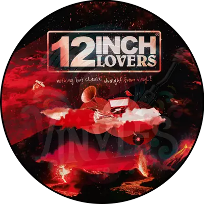 VARIOUS ARTISTS - 12 INCH LOVERS VOL 9 (2X12)