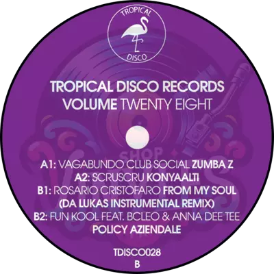 Various-Tropical Disco Records, Vol. 28