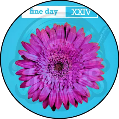 Opus III-Fine Day XXIV