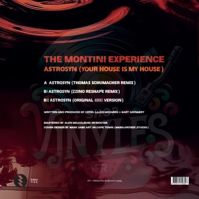 The Montini Experience - Astrosyn (Your House Is My House)