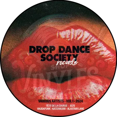 Various-DROP Dance Society Records - Various Artists - Vol 1 - 2024