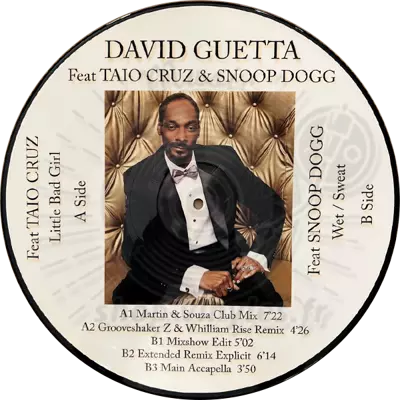 David Guetta Feat. Taio Cruz & Snoop Dogg - Little Bad Girl