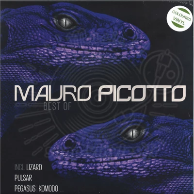 Mauro Picotto - Best Of LP (2x12