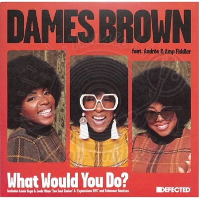 Dames Brown feat. Andrés & Amp Fiddler - What Would You Do? (Remixes)