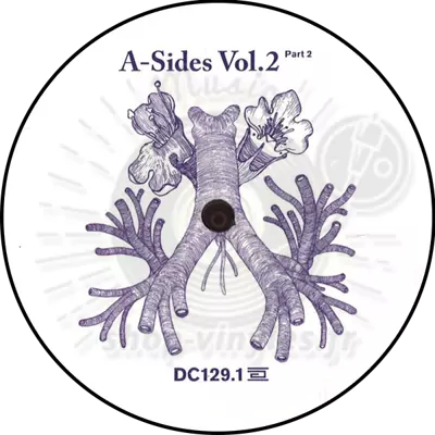 Various Artists - *1* A Sides Volume Ii Pt 2