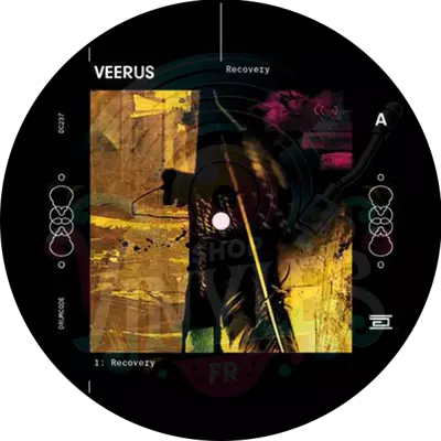 Veerus - Recovery